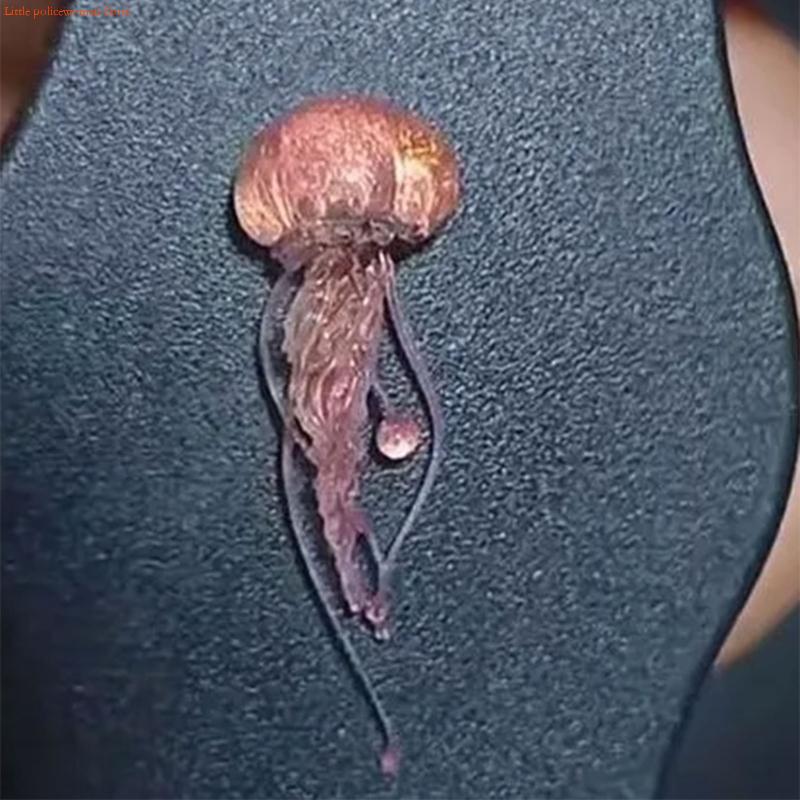F92D Creative แมงกะพรุนเล็บแม่ - Art Craft Jellyfish บทวิจารณ์และราคา